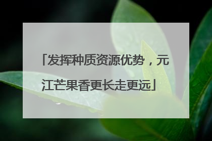 发挥种质资源优势，元江芒果香更长走更远